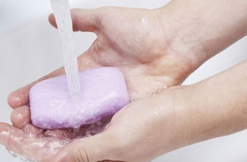 prevención de parasitos