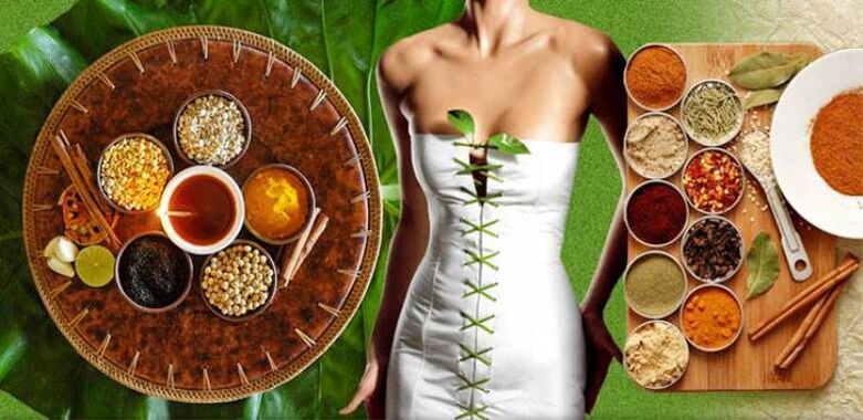 Ayurveda para limpar o corpo de parasitos