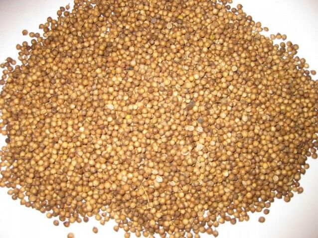 As sementes de cilantro axudan a eliminar os parasitos do corpo
