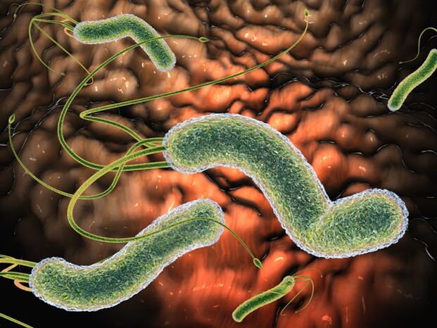 Parasitos nocivos no corpo humano